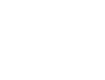 Swans